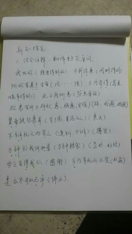 掌握釣魚日語詞匯,主線子線支線尼龍線不慌張