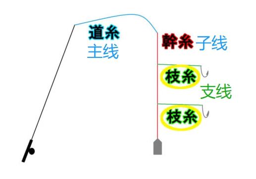 掌握釣魚日語詞匯,主線子線支線尼龍線不慌張