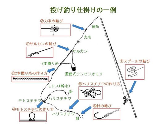掌握釣魚日語詞匯,主線子線支線尼龍線不慌張